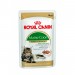 Karmy mokre dla kota - Royal Canin Maine Coon Adult saszetka 6x85g