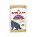 Karmy mokre dla kota - Royal Canin British Shorthair 6x85g