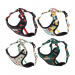 Smycze, obroże, szelki - Amiplay BeHappy Szelki regulowane Discovery [rozmiar M] 25-40 x 35-50cm 