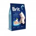 Karmy suche dla kota - Brit Premium Kitten Chicken