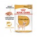 Karmy mokre dla psa - Royal Canin Adult Chihuahua 85g