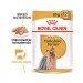 Karmy mokre dla psa - Royal Canin Adult Yorkshire Terrier 85g