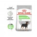 Karmy suche dla psa - Royal Canin Mini Digestive Care CCN