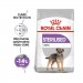 Karmy suche dla psa - Royal Canin Mini Sterilised Adult CCN