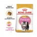 Karmy suche dla kota - Royal Canin Persian Kitten