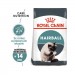 Karmy suche dla kota - Royal Canin Hairball Care FHN