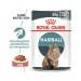 Karmy mokre dla kota - Royal Canin Feline Hairball Care FHN 85g