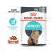 Karmy mokre dla kota - Royal Canin Urinary Care Feline FHN 85g