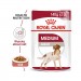 Karmy mokre dla psa - Royal Canin Medium Adult karma mokra w sosie dla psów dorosłych ras średnich