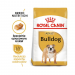 Karmy suche dla psa - Royal Canin Adult Bulldog