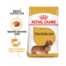 Karmy suche dla psa - Royal Canin Adult Dachshund
