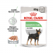 Karmy mokre dla psa - Royal Canin Digestive Care CCN 85g