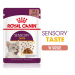 Karmy mokre dla kota - Royal Canin FHN Sensory Taste w sosie 85g