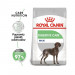 Karmy suche dla psa - Royal Canin Maxi Digestive Care CCN