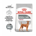 Karmy suche dla psa - Royal Canin Medium Dental Care CCN