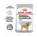Karmy suche dla psa - Royal Canin Mini Dental Care CCN
