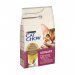 Karmy suche dla kota - Cat Chow Adult Special Care Urinary Tract Health Chicken